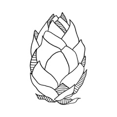 Hoppenheimer